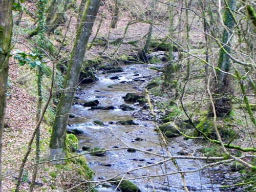 17a.-Upstream-from-Dippers-Lodge-2