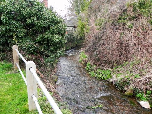 18.-Downstream-from-Allerford-Bridge-2