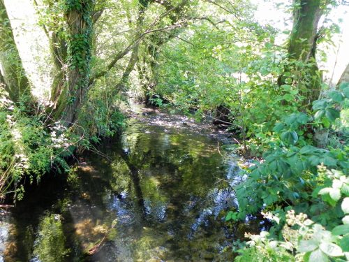 18.-Downstream-from-Gardeners-Bridge-2
