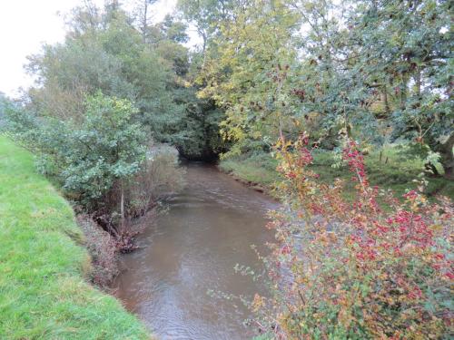 18.-Downstream-from-Hele-Mill-weir-3