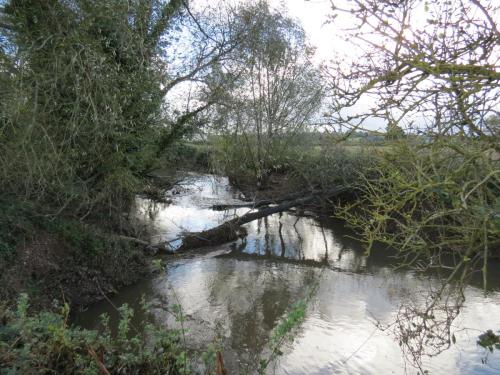 18.-Downstream-from-Langaller-1