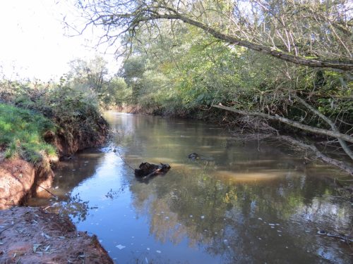 18.-Downstream-from-Langaller-10