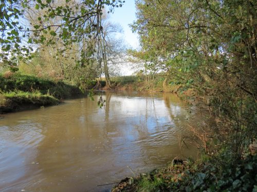 18.-Downstream-from-Langaller-3