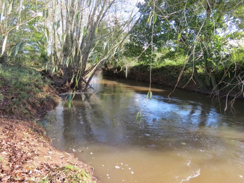 18.-Downstream-from-Langaller-4