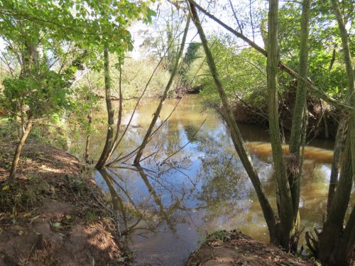 18.-Downstream-from-Langaller-6