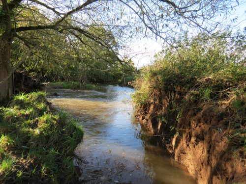 18.-Downstream-from-Langaller-9