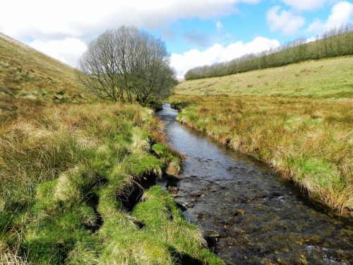 18.-Downstream-from-Long-Holcombe-Water-2