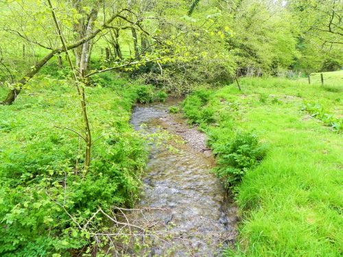 18.-Downstream-from-Upper-Pond-Cottages-4