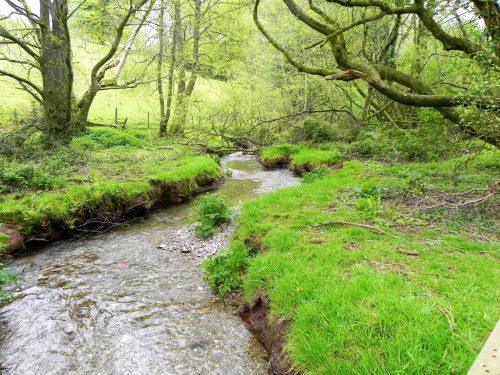 18.-Downstream-from-Upper-Pond-Cottages-5
