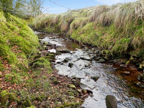 18.-Early-stream-approx-750-metres-from-source-2