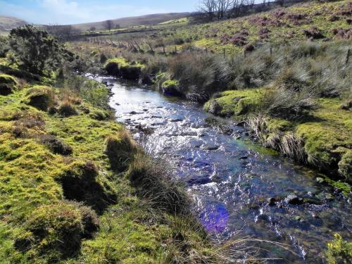 18.-Flowing-below-Furzehill-Common-2