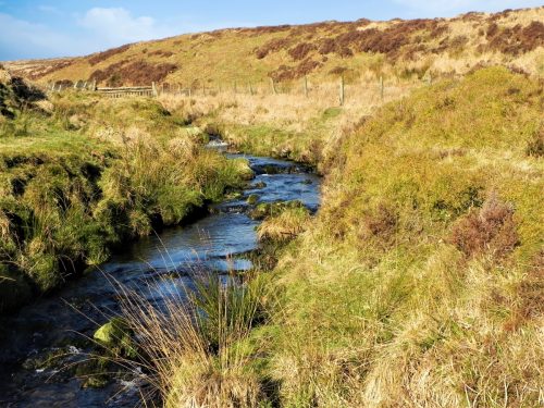 18.-Flowing-below-Hoccombe-Hill-2