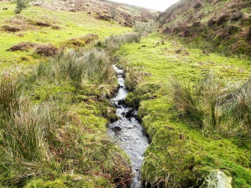 18.-Flowing-down-Ember-Combe-2