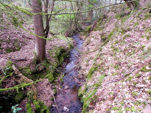18.-Flowing-through-Luccombe-Plantation-2