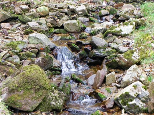 18.-Flowing-through-Mansley-Combe-2