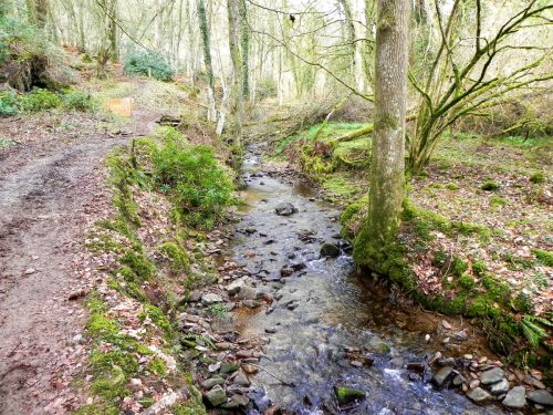 18.-Flowing-through-Underwood-Plantation-2