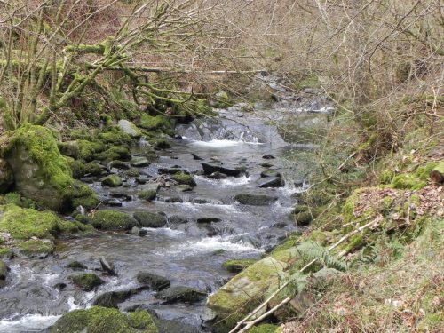 18.-Flowing-through-Wilmersham-Wood