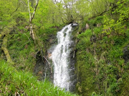 18.-Forehill-Wood-waterfall-10 (1)