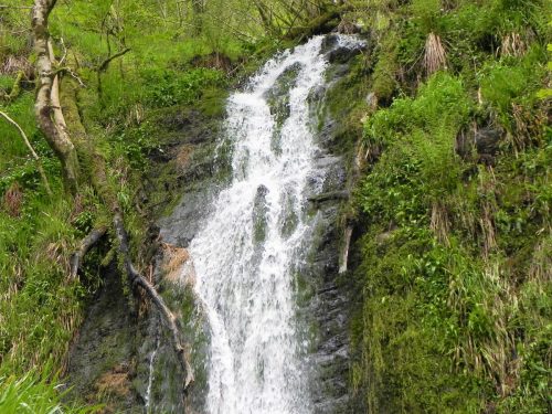 18.-Forehill-Wood-waterfall-11 (1)