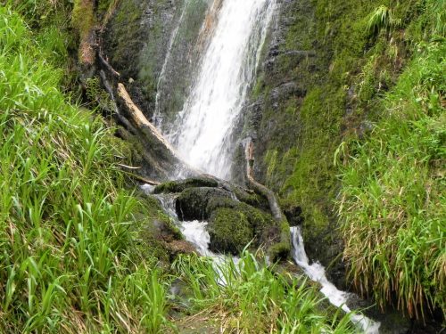 18.-Forehill-Wood-waterfall-13 (1)