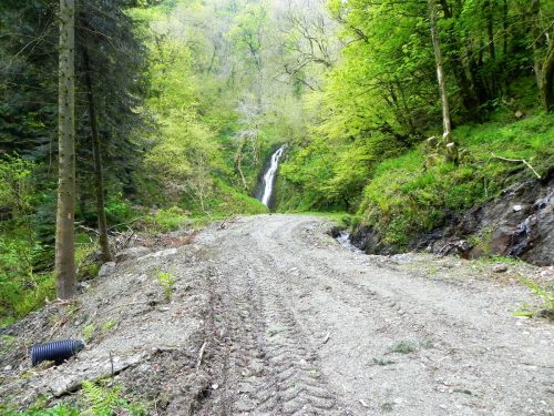 18.-Forehill-Wood-waterfall-14 (1)