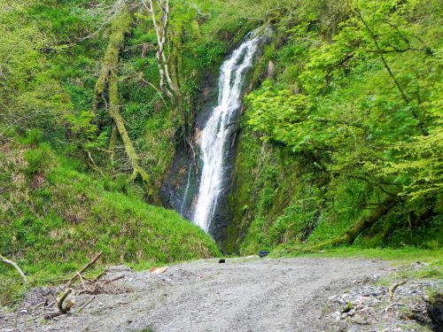 18.-Forehill-Wood-waterfall-15 (1)
