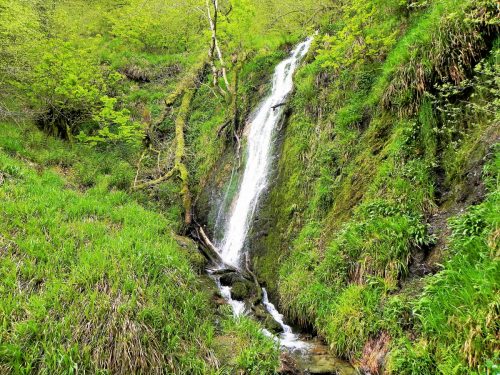 18.-Forehill-Wood-waterfall-16 (1)