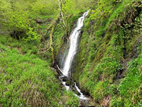 18.-Forehill-Wood-waterfall-9 (1)
