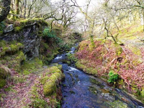 18.-Lank-Combe-Water-flowing-to-Badgworthy-2