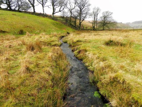 18.-Looking-downstream-from-Long-Combe-Footbridge-A-2