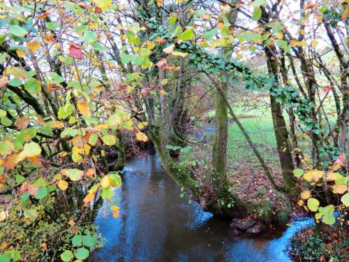 18.-Looking-upstream-from-Brockey-Bridge-2