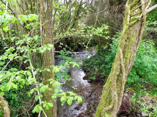 18.-Looking-upstream-from-Glen-Haven-footbridge-2