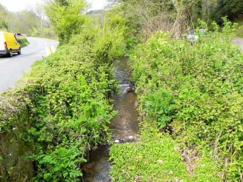 18.-Looking-upstream-from-Knowle-Lane-Bridge-2