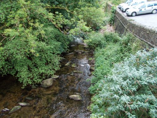 18.-Looking-upstream-from-Lyn-Bridge