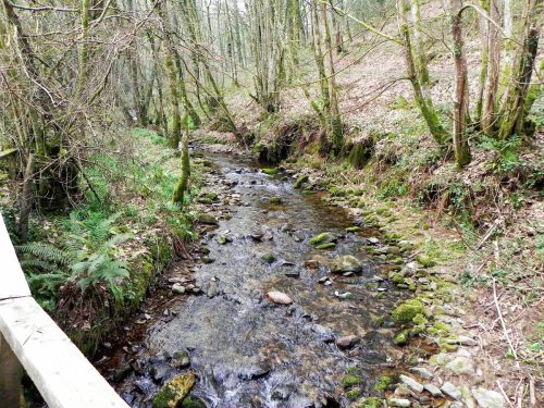 18.-Looking-upstream-from-Snowdrop-Valley-Bridge-2