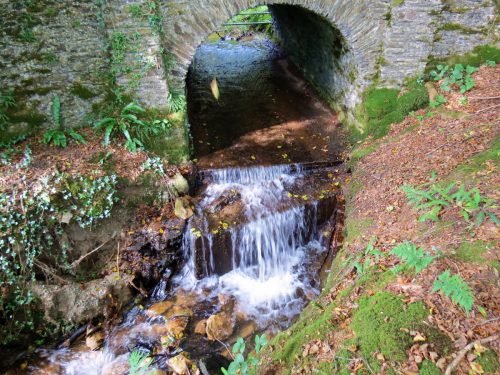 18.-Looking-upstream-to-Lower-Beverton-Bridge-2