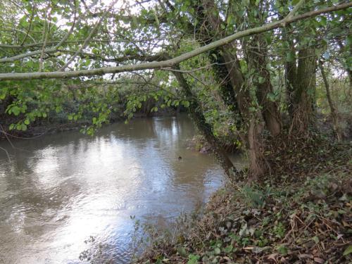 18.-Mill-stream-rejoins-River-Tone