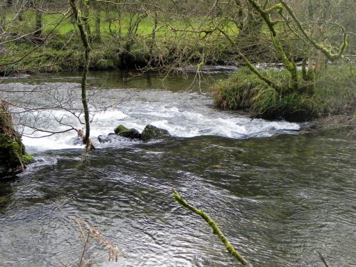 18.-Near-Pitt-Wood-2
