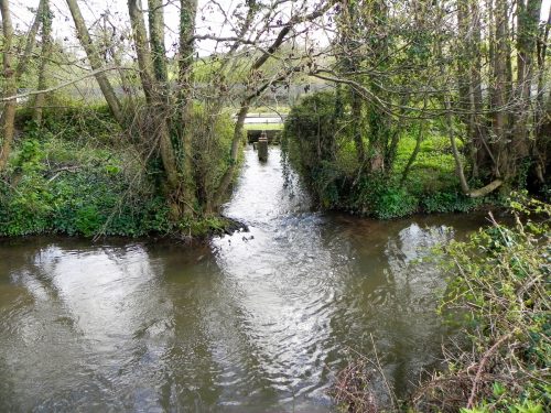 18.-Outlet-from-Torr-Fishery-2