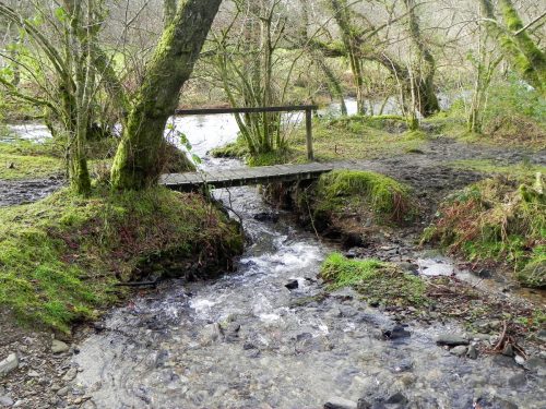 18.-ROW-Bridge-1898-over-Tributary-Stream-2