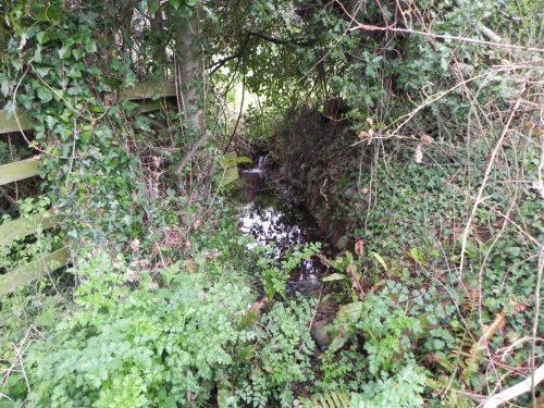 18.-Tivington-Knowle-headstream