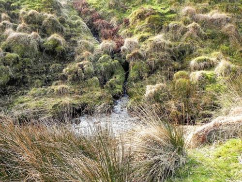 18.-Tributary-Stream-from-the-south-2