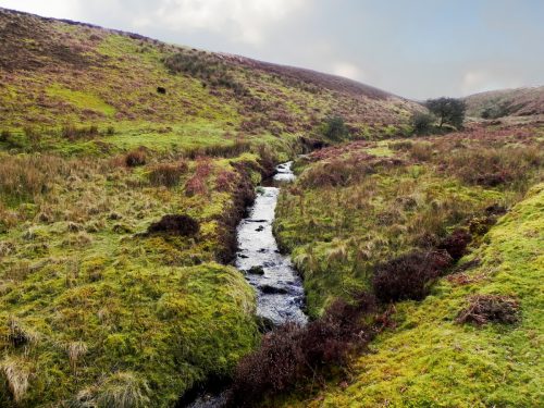 18.-Upstream-from-Colley-Water-2