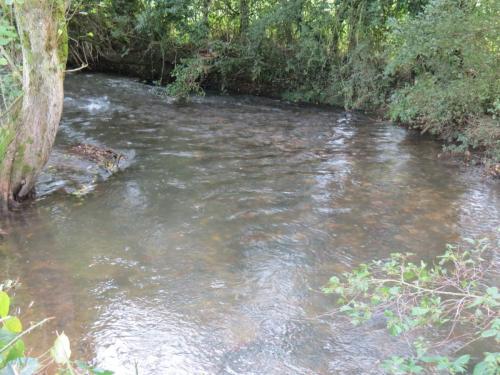 18.-Upstream-from-Greenham-Bridge