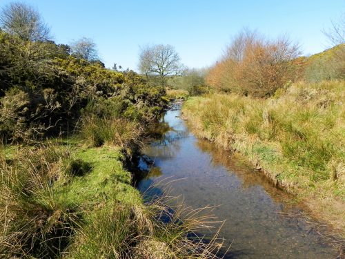 18.-Upstream-from-Shircombe-Farm-2