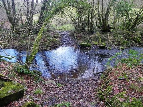 18.-Upstream-from-Wimbleball-Lake-Accommodation-Bridge-6