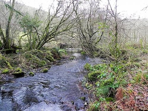 18.-Upstream-from-Wimbleball-Lake-Accommodation-Bridge-7