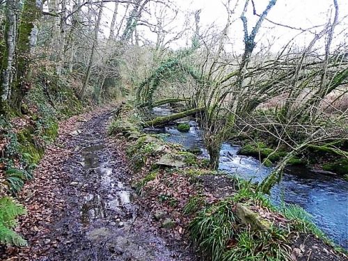 18.-Upstream-from-Wimbleball-Lake-Accommodation-Bridge-8