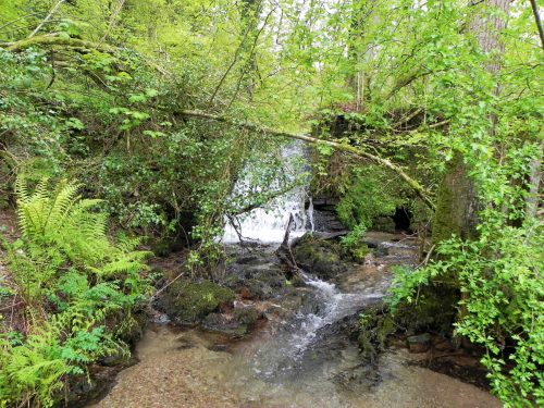 19.-Cascade-downstream-from-Upper-Pond-Cottages-3