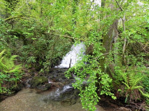 19.-Cascade-downstream-from-Upper-Pond-Cottages-4